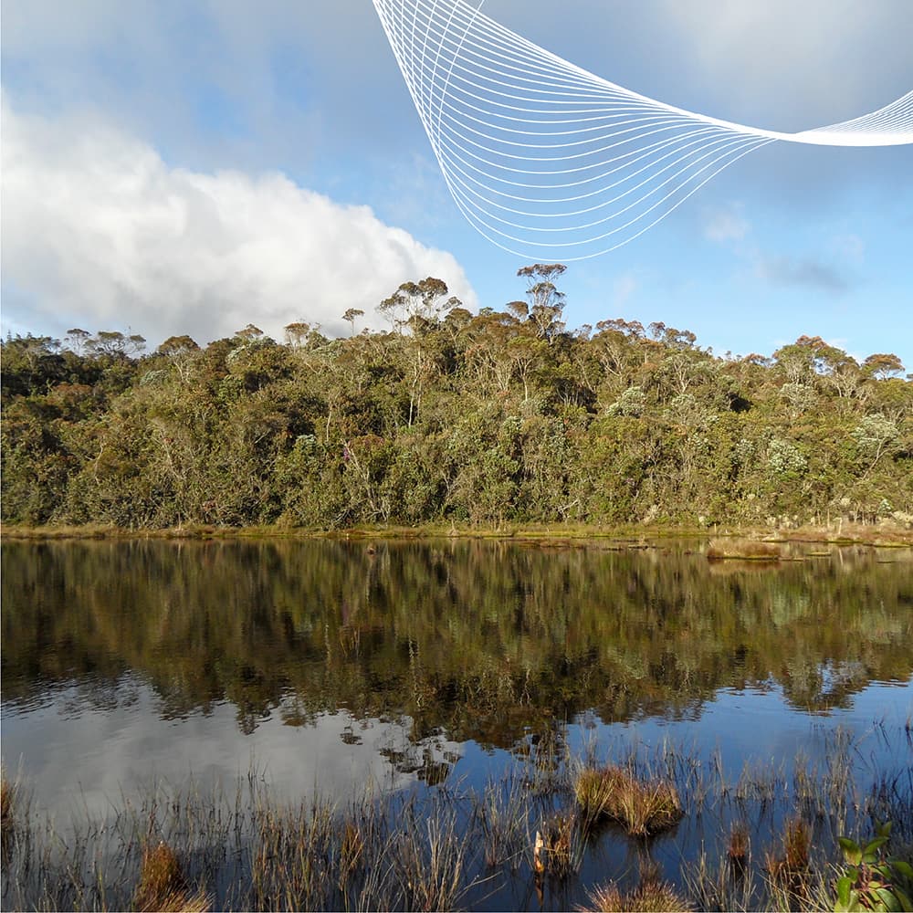 Laguna de alta montaña rodeada de bosque andino, ecosistema estratégico evaluado en proyectos de infraestructura lineal en Colombia.