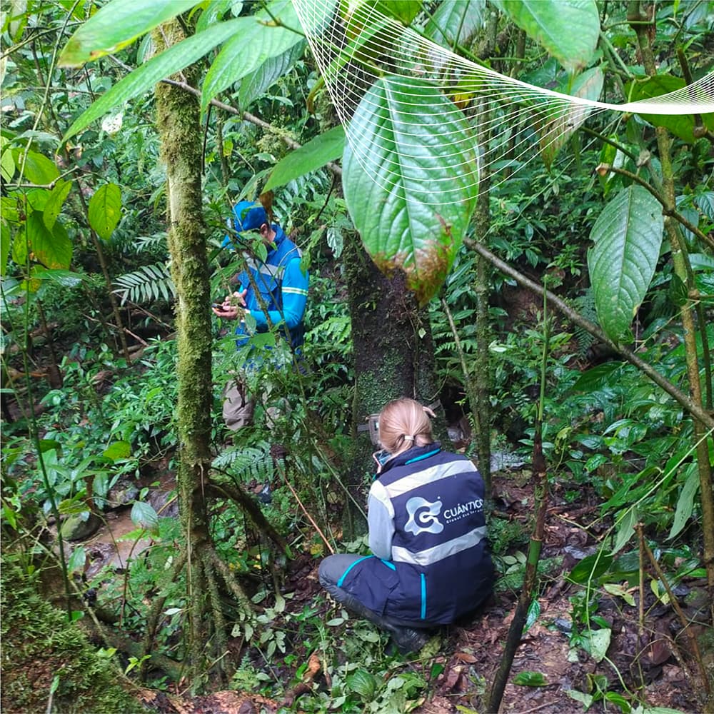 Investigadores de Cuántico realizando trabajo de campo en bosque húmedo tropical durante levantamiento de datos de biodiversidad en Envigado, Colombia.