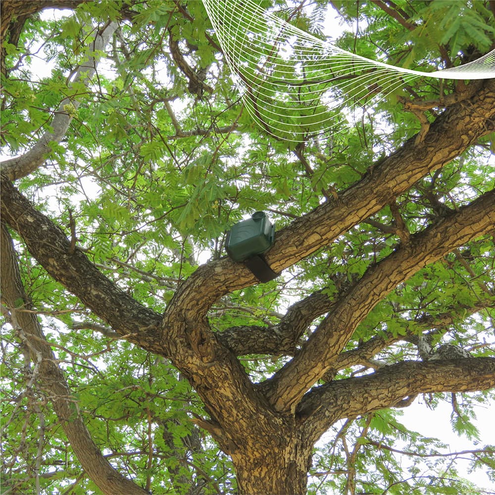 Cámara trampa instalada en árbol de bosque seco tropical para monitoreo de fauna silvestre en proyecto de evaluación de impacto ambiental en Colombia.