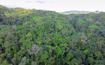 El refugio de una especie invisible